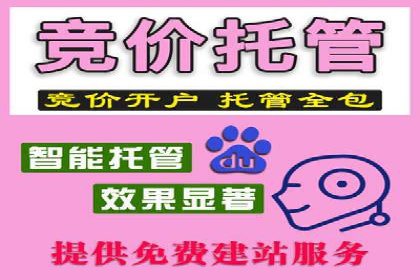 专业SEM代运营托管公司案例分析